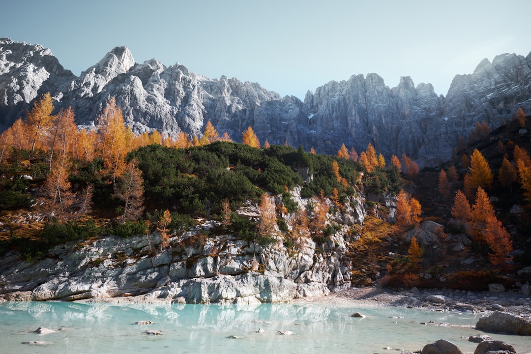 Photo Fish salad: Seafood Dreamlight valley: Valley landscape